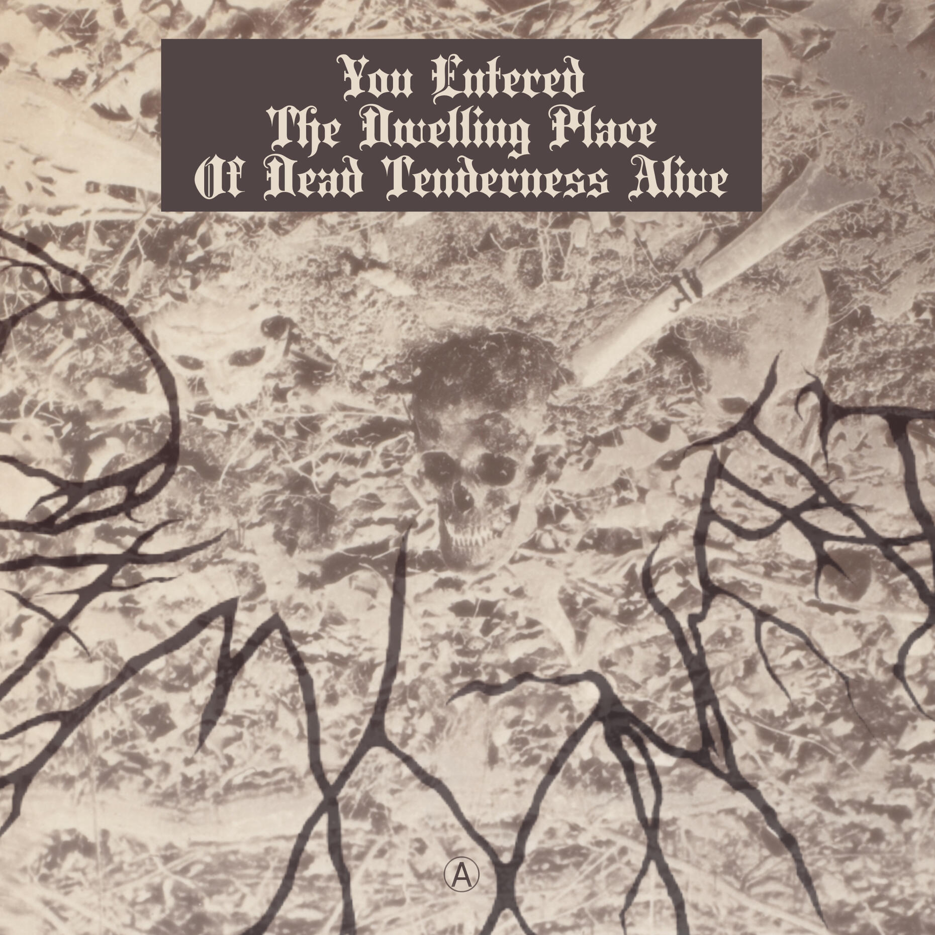 Album cover with three skulls amid ground debris, with textual overlay at the top reading "You Entered The Dwelling Place Of Dead Tenderness Alive"